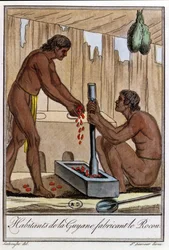Inhabitants of French Guyana Preparing Annatto